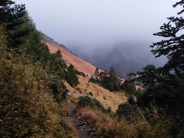 1/1元旦雪主東2681438