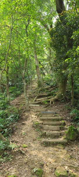 土城山中湖1067105