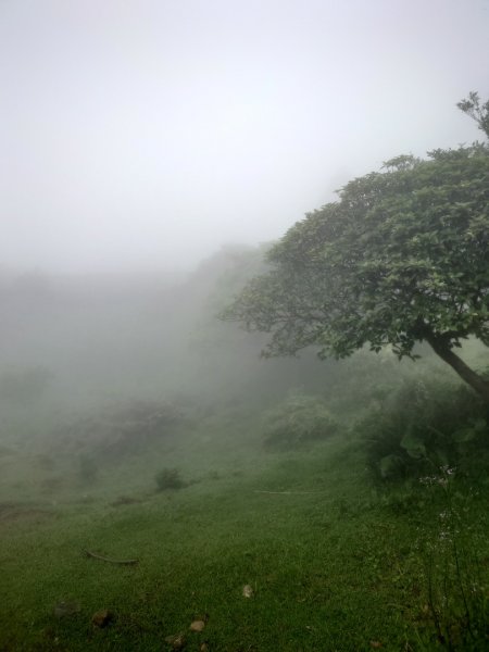 陽明山之擎天崗2207167