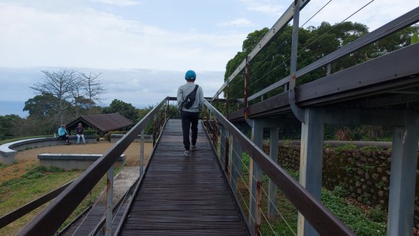 小百岳NO.5觀音山 牛港稜步道  硬漢嶺   楓櫃斗湖登山步道2090100