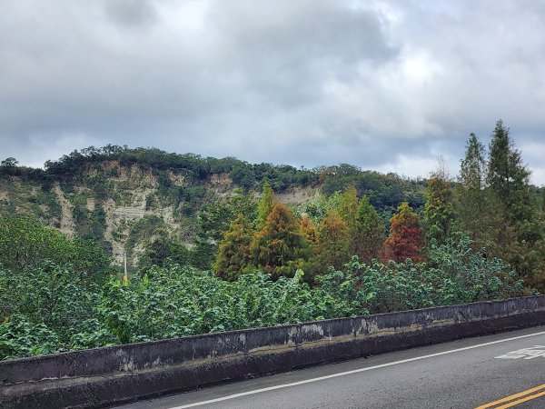 苗栗三灣｜龍峎頂步道2973718