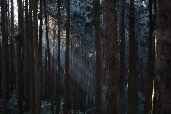 眠月線～年輕人爬山趣2854764