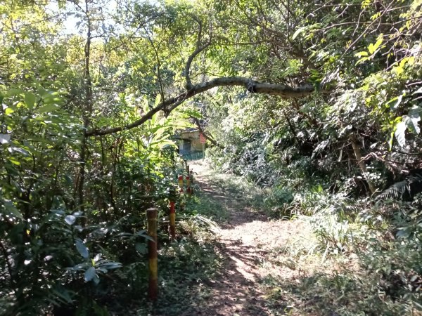 基隆市/萬里區界寮縱走之三界山+三界山西峰+開眼尖山+七分寮山+瑪七產道山泉水接水亭2979525