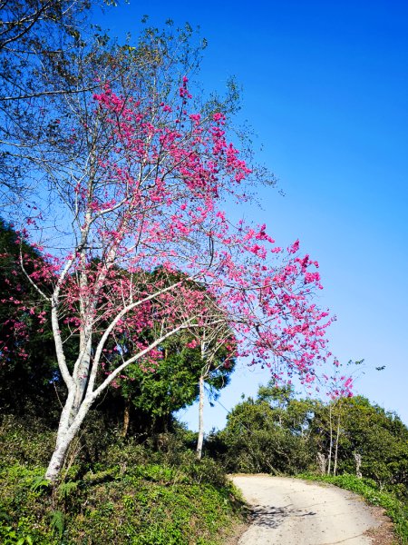 2025-02-16 巴蜈縱走2714317