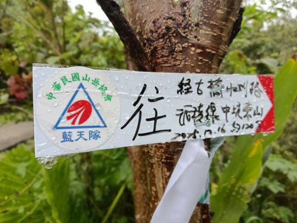 雙溪區中坑古道+大夯瀑布+中坑東山+中坑東山尾稜O型2921504