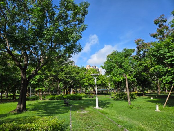 凹子底森林公園2834872