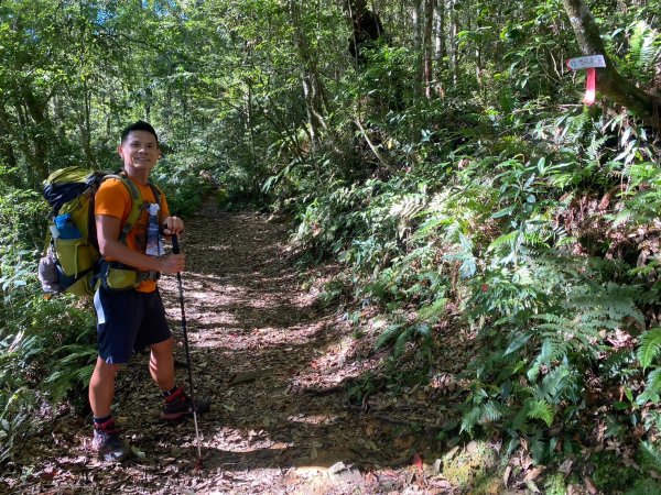 雙龍林道-巒安堂-西巒大山【一切都很美好 除了肩膀之外】2567816