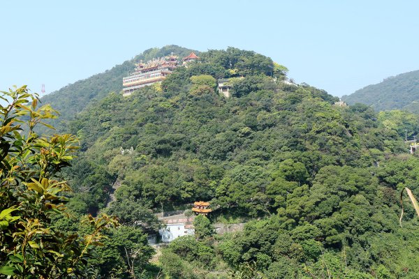 忠勇山。鯉魚山535902