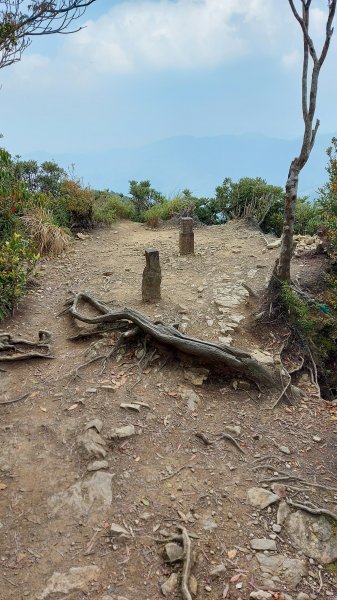 111/03/12東滿步道(東眼山進、滿月圓出)1643952