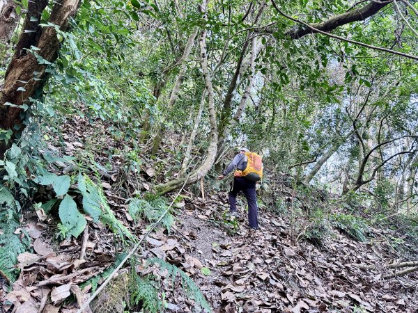 完登新南橫三星-馬馬宇頓山   2026.3.273027527