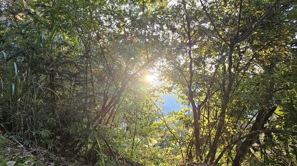 鵝公髻山 鵝公髻山東北峰 第一登山口上下入門路線2395265