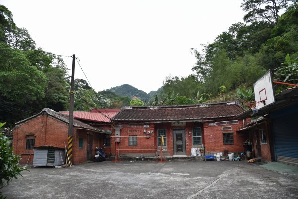 樹林大棟山／小百岳0151408558