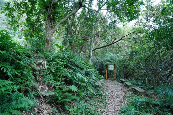 新北 烏來 大刀山、拉樸山、阿玉溪山2704941