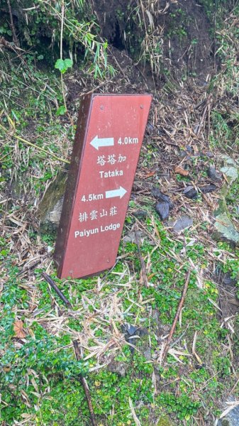 東埔-排雲-玉山西峰-玉山主峰2753172