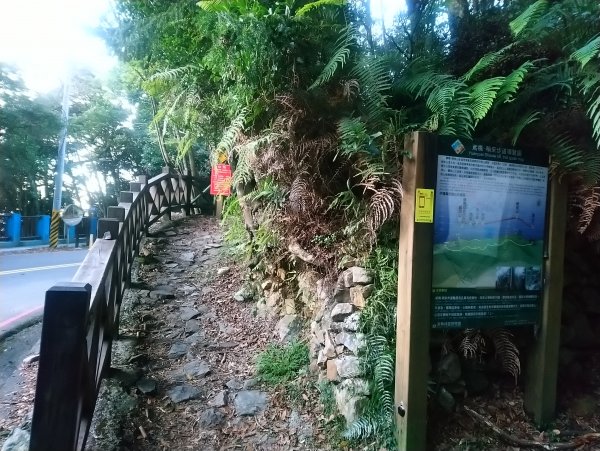 鳶嘴 稍來 大雪山林道O型694743