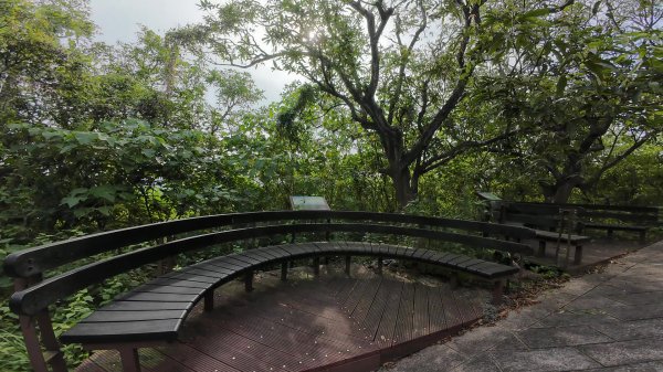 高雄 小崗山2927238