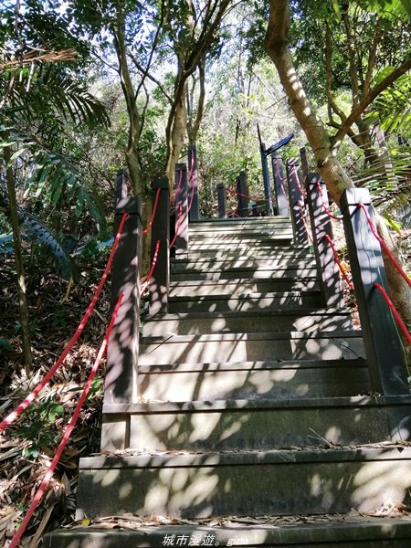 台中~仙氣繩橋山林環繞。 蝙蝠洞登山步道1295481