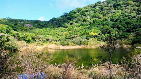 向天蝦不蝦2936814