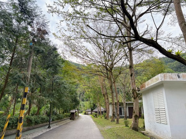 林田山林業文化園區2728233