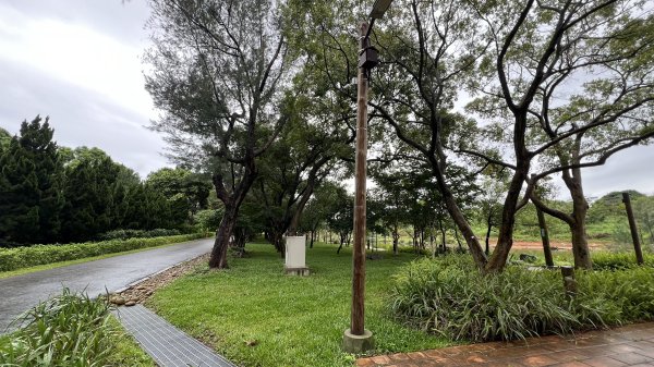 大湳森林公園2803729