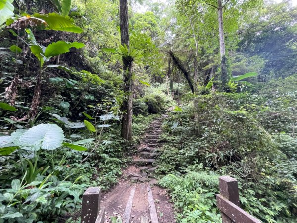 五指山登山步道2226365