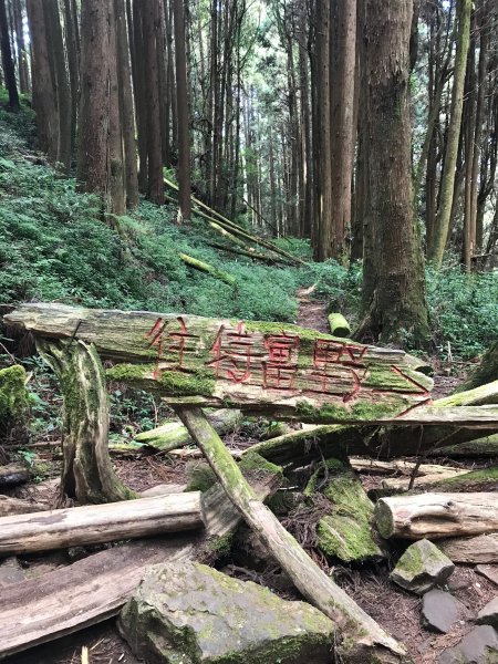 訪特富野古道順登梯子板山978967