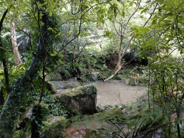 臺北大縱走第七段：世界山莊至飛龍步道2810208