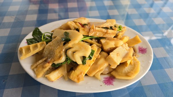 開箱猴崁古道，陽明山秘境，全新完工草山觀瀑吊橋2766376