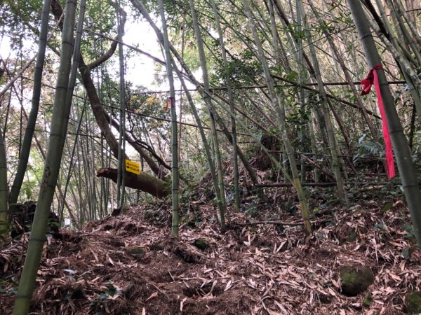 迷糊步道停車場上芙蓉山885740