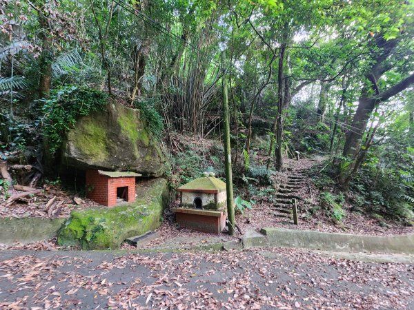 20240721泰安登山步道登七塊山2599953