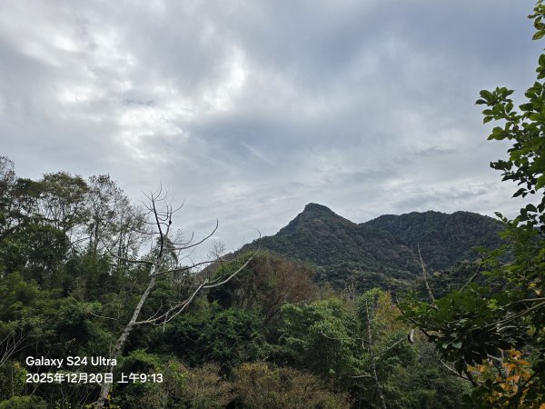 2025-12-20橫龍古道2967544