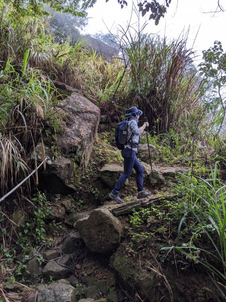 【台南梅嶺】梅峰、獵鷹尖、一線天795660