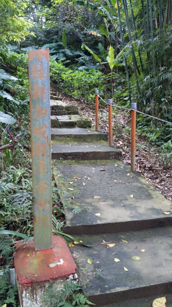 20230124_年初二_新店文筆山_土城清水大尖山_新加坡嶺_青龍嶺2011169