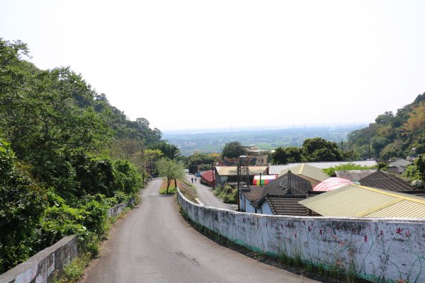 藍天綠意練腳力。 坑內坑森林步道781865