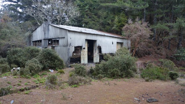 深藏在郡大林道被遺忘的明珠清水山、金子山、郡大山三日1943848