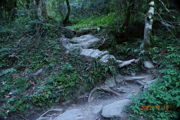 高雄 桃源 庫哈諾辛山1947285