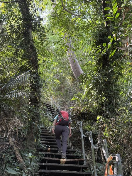 烏山縱走半程 (雲山寺~刣牛湖山) 來回 202504272773716