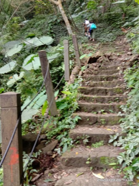 步道巡訪員 l 崁頭山步道巡訪員9月份巡禮1111119