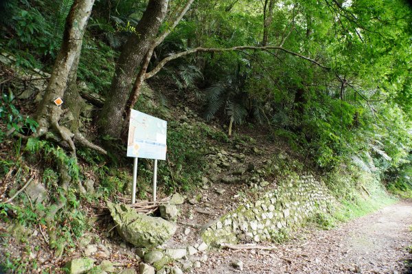 台中 和平 南松鶴山、八仙山、東松鶴山2878001
