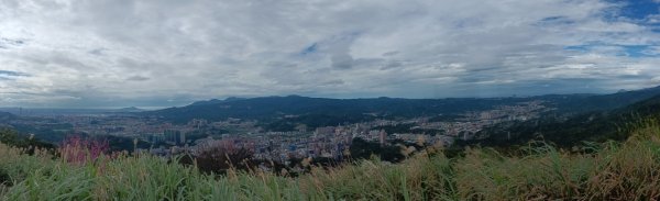 汐止區大尖山櫻花+秀峰瀑布O型3009353