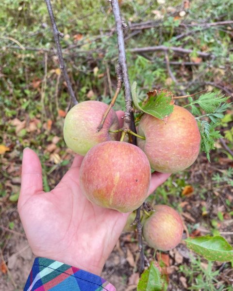 川藏深度之旅33天/A行程2901268