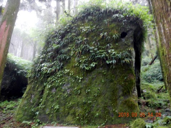 20180905奮起湖大凍山二萬坪404435