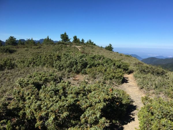 大霸群峰1/2-加利山、伊澤山384975