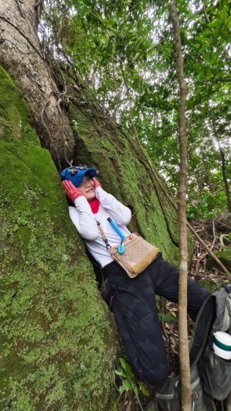 東勢大崙、東勢坑山、觀音湖山O走2986304