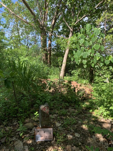 20250628高雄望雲山-尚書林山2826300