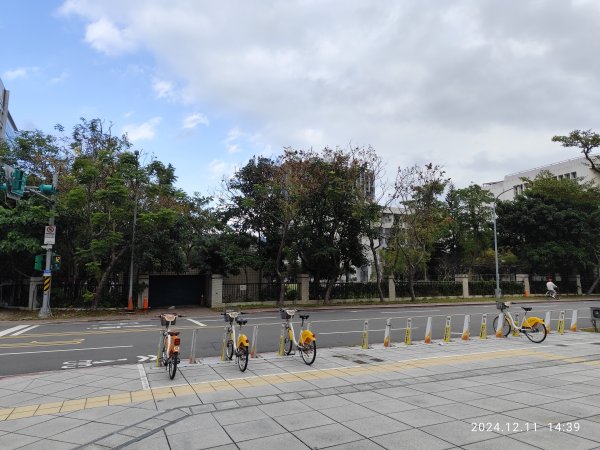 內湖瑞陽公園、大港墘公園2667211