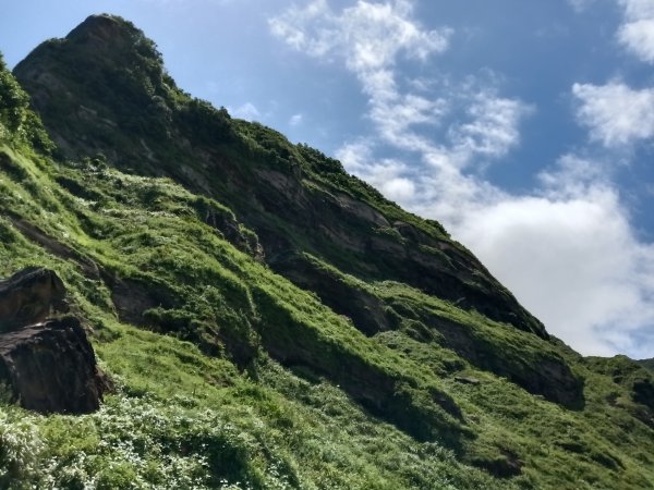 瑞芳區黃金8.5稜+南雅山O型2866449