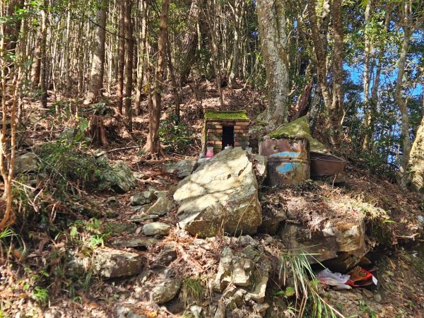 20250112八眉阿2688345