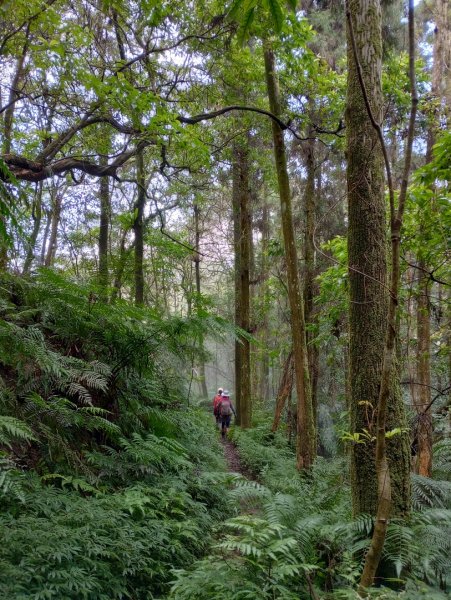 雷公埤山-鱷魚島觀景-小格頭獅頭山2001504