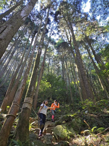 20250817橫笛沙O繞2890025